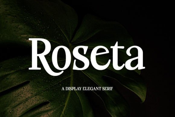Roseta: The Elegant Serif Display Font for Modern Editorial Design